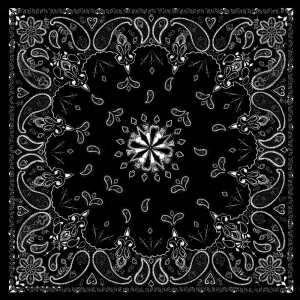 B001- Bandanna Black Paisley