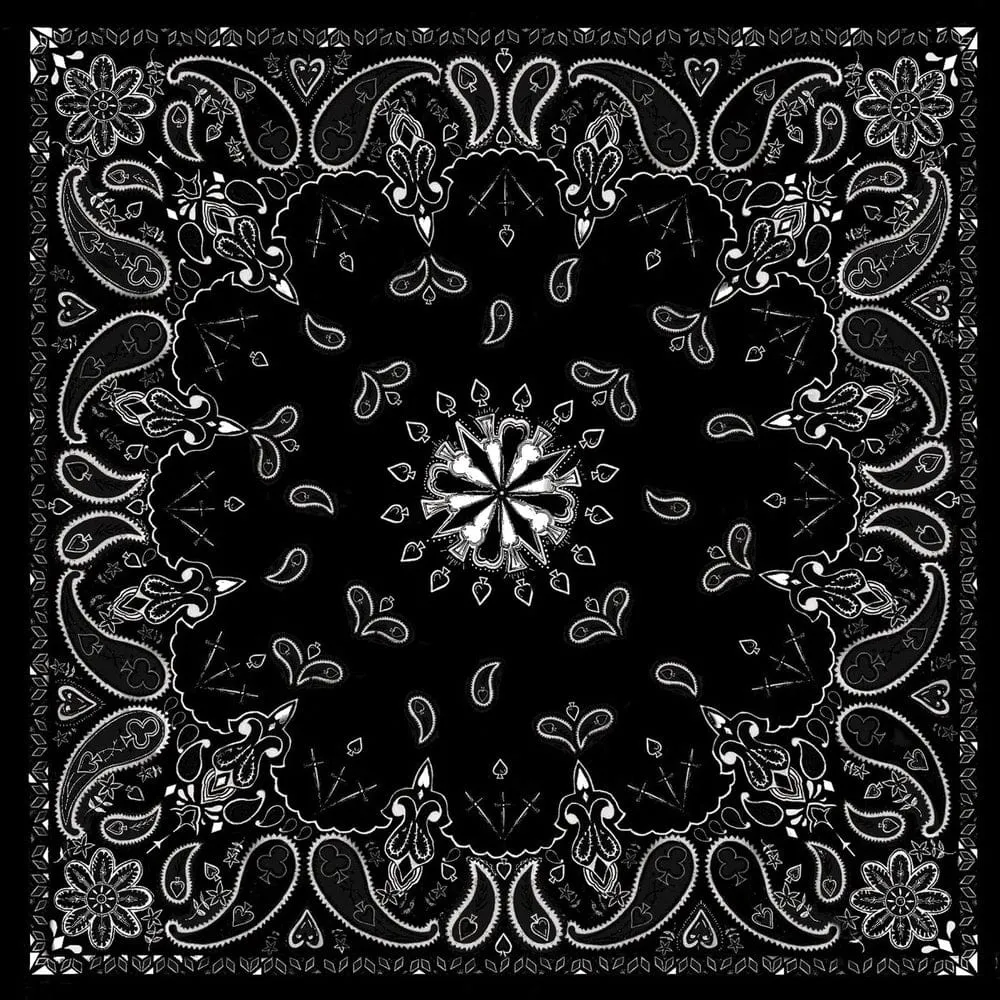 B001- Bandanna Black Paisley