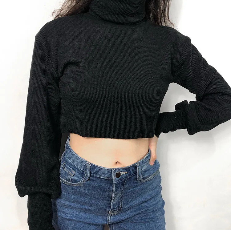 Chunky Knit Cropped Sweater