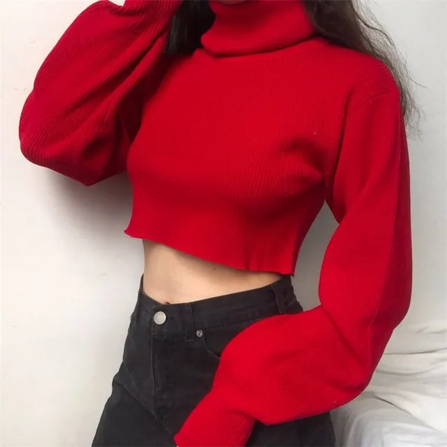 Chunky Knit Cropped Sweater