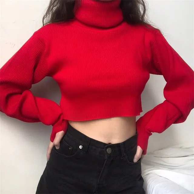 Chunky Knit Cropped Sweater