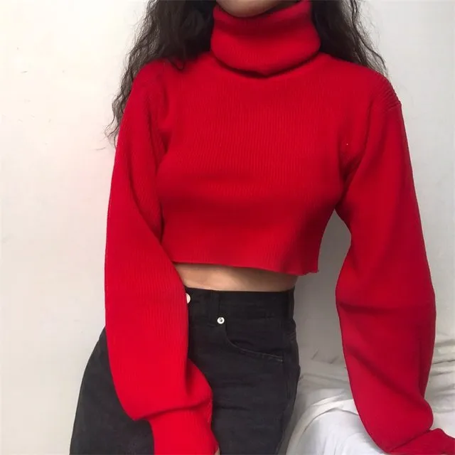 Chunky Knit Cropped Sweater