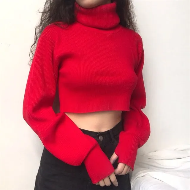 Chunky Knit Cropped Sweater