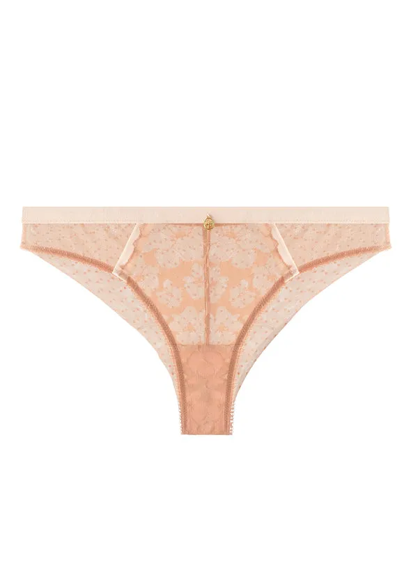 ZARINA Lace Comfortable Dotted Mesh Tanga Briefs